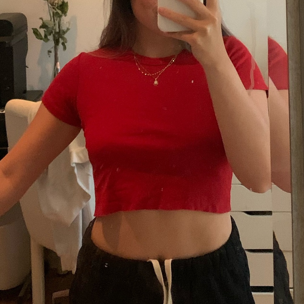 Brandy melville cropped t-shirt